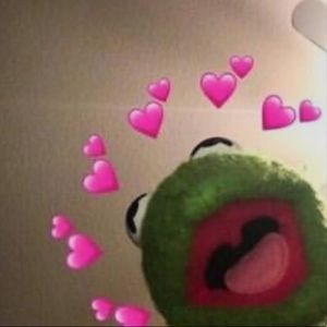 Meet your Posher, Amaya